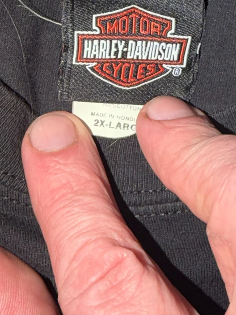 Harley-Davidson bold harley